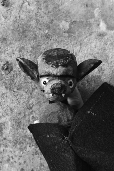 P4445 Visuel Chauve-Souris 2-min